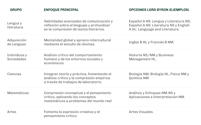 Grupos de Asignaturas y Enfoque.