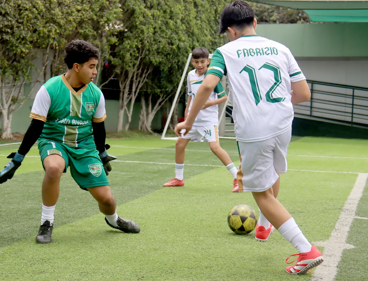 Art, Culture and Sport in Motion