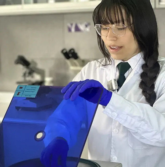 Educational Pillars in Upper School.